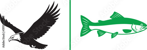 Bald eagle and trout fish vector illustrations isolated on white background