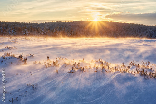 Photos Windblown snowfield in Brdy at golden hour