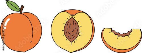 Peach Fruit Set with Whole, Half and Bite Slice Illustration for Fresh Organic Food, Summer Harvest and Healthy Nutrition Design