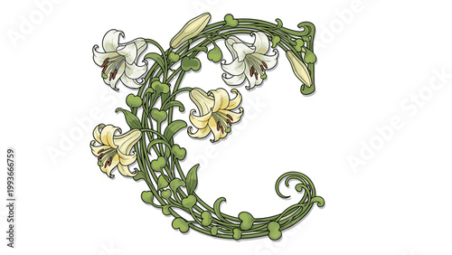 A beautiful floral letter C illustration with vines and flowers