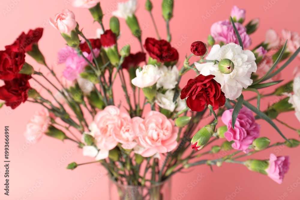Fototapeta premium Beautiful carnation flowers in vase on pink background, closeup