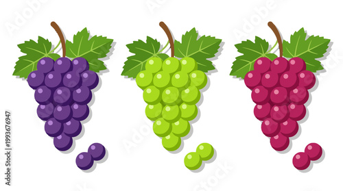 Vibrant Assortment of Fresh Grapes Purple, Green, and Red Varieties with Lush Leaves