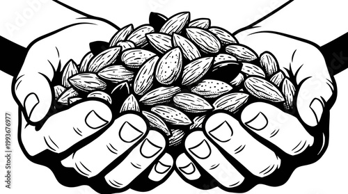 Human Hands Gently Cradling a Generous Pile of Raw Almonds, Symbolizing Healthy Nutrition and Abundant Harvest