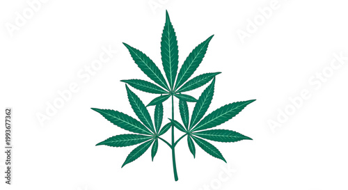 Green cannabis leaf illustration representing nature and plant life