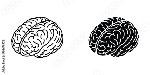 Comparison of human brain hemispheres with different contrast levels.