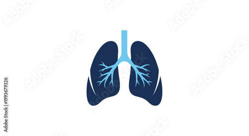 Human Lungs Anatomy Medical Illustration.