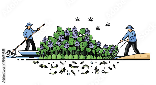 Farmers cleaning water canal to prevent mosquito breeding grounds for malaria control strategy isolated on white background