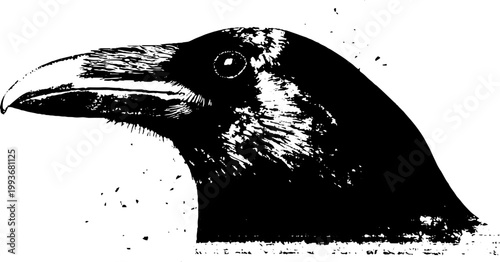 High contrast black and white raven head ink profile with textured splatter for poster and banner design