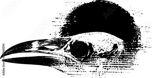 Black and white high contrast raven skull with halo ink style artwork for dark banner background and edgy design