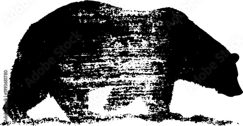 High contrast black and white bear silhouette with distressed ink texture for background poster banner and nature design
