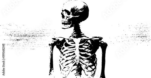 Black and white high contrast standing skeleton torso ink tracing for gothic poster background and minimalist dark design