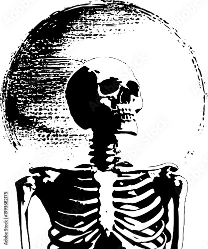 High contrast black and white ink skeleton with large circular saint halo for gothic background poster and emblem design