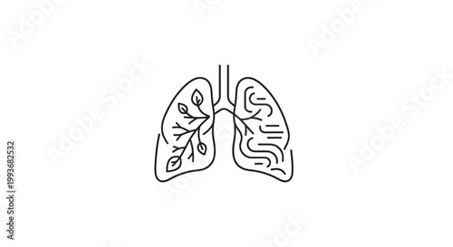 Detailed human lung anatomy illustration.