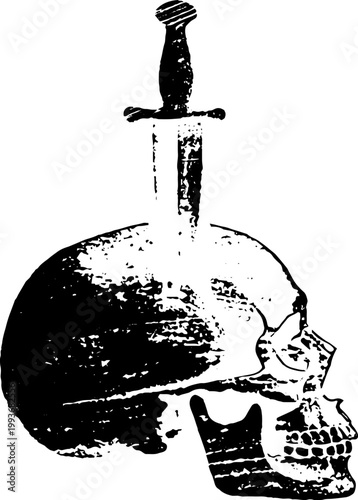 High contrast black skull with ritual dagger vertically through the head for gothic poster design and macabre background