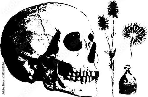 Skull with ritual symbols high contrast black and white ink illustration for occult poster background and alchemy design