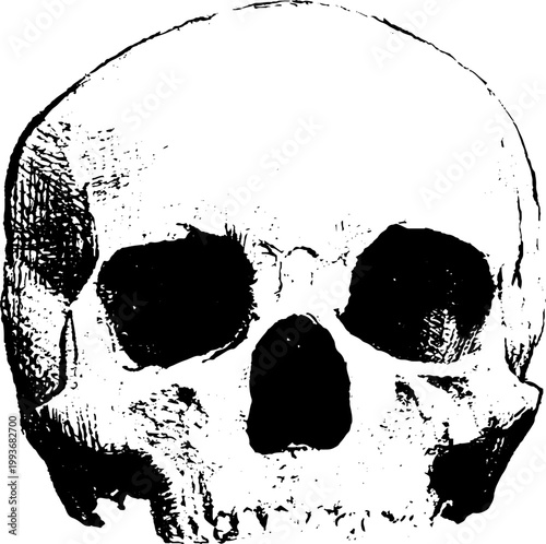 High contrast black and white ink skull front view traced for gothic design background and poster