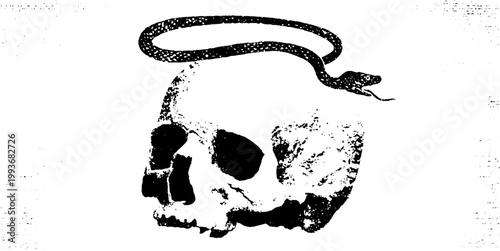 Black and white ink skull with snake and halo high contrast illustration for design, tattoo and grunge background use