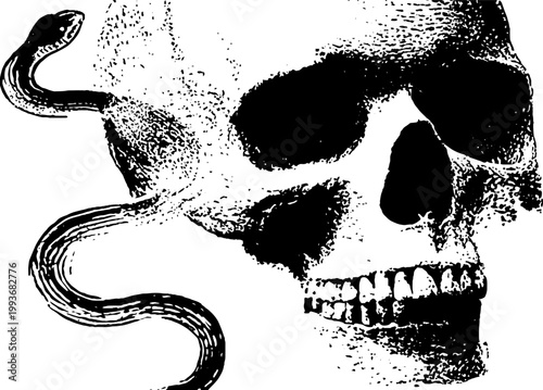High contrast black and white skull with coiled snake design for tattoo flash background and banner use in gothic macabre decor