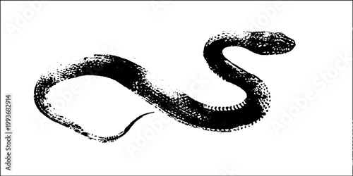 High contrast black ink curled snake with subtle scale texture in grunge brush style for tattoo design poster background and decorative artwork