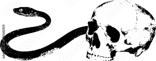 High contrast black white skull ink and long snake for gothic banner background and tattoo design