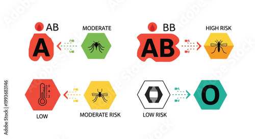 Medical infographic showing blood type and mosquito bite risk levels vector illustration isolated on white background