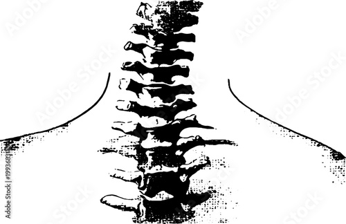 High-contrast black and white spinal column illustration with eye detail for anatomical poster and surreal background design