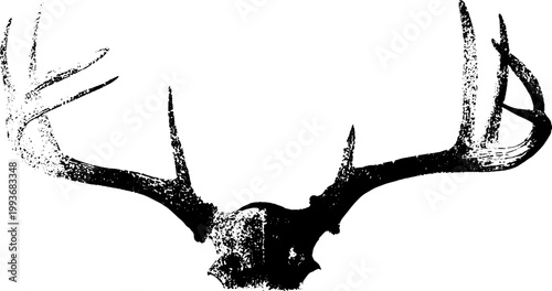 Stag antler skull silhouette high contrast black and white ink artwork for poster background and tattoo design