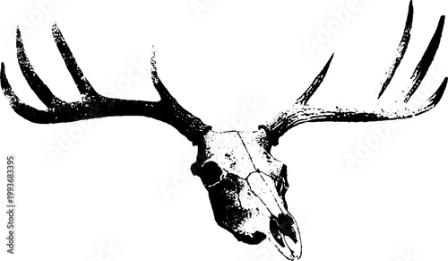 Minimal stag skull with expansive antlers in stark black and white ink for sticker poster and decor with rustic gothic appeal