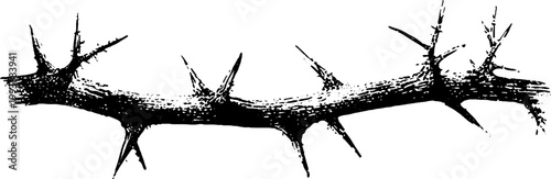 High contrast black and white thorn branch ink drawing for decorative border or divider design and nature texture element
