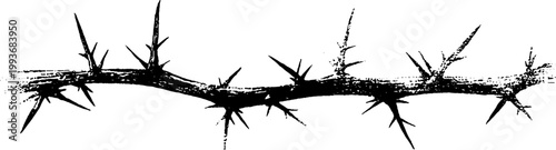 High contrast black and white thorn branch ink silhouette for seamless divider or border use in graphic layout and texture design