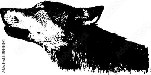 Wolf head profile high contrast black and white ink illustration for poster and logo design