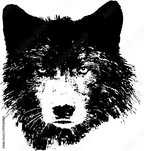 Wolf head frontal high contrast black and white ink illustration for poster and emblem design