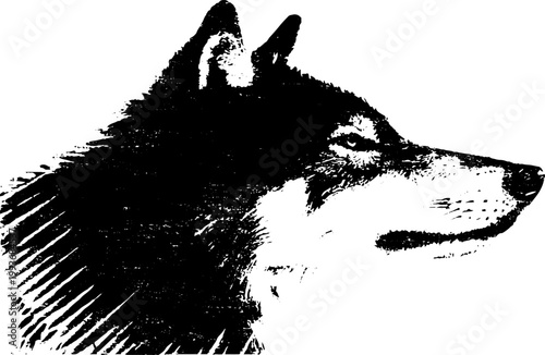 Wolf head profile ink portrait black and white high contrast for tattoo logo design and wall art background