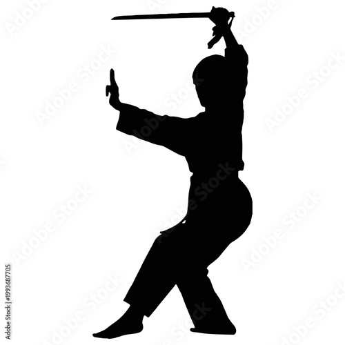 The silhouette of a martial arts performer.
