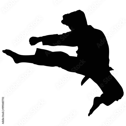 The silhouette of a martial arts performer.