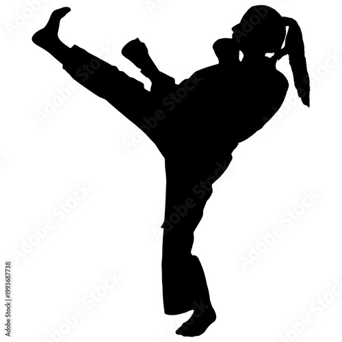 The silhouette of a martial arts performer.