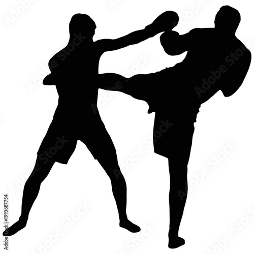 The silhouette of a martial arts performer.