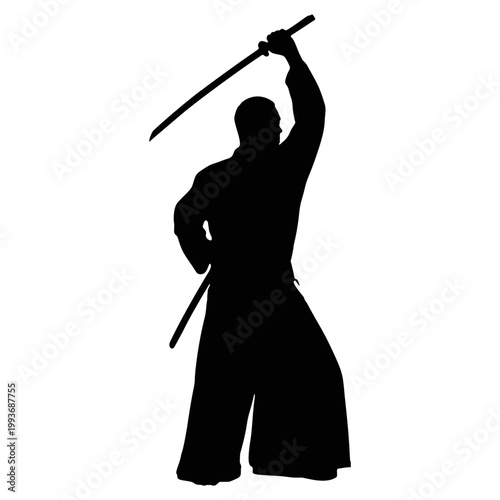The silhouette of a martial arts performer.