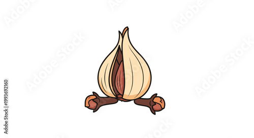 Close-up illustration of a dried cardamom pod with seeds inside paired with two aromatic cloves for kitchen spice education.