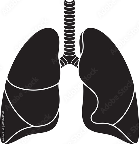 Black silhouette of human lungs and trachea, simplified medical also transparent background, respiratory system