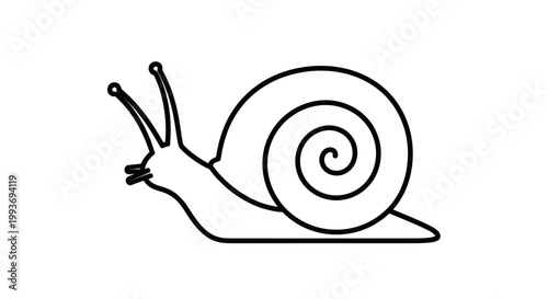 A simple black and white outline drawing of a snail with a spiral shell and antennae.