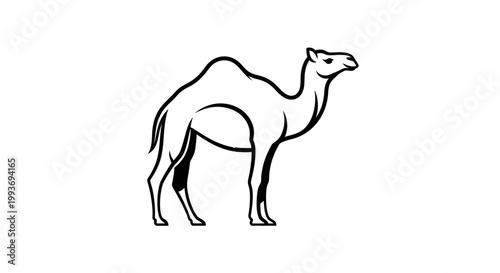Black and white outline drawing of a dromedary camel standing sideways.