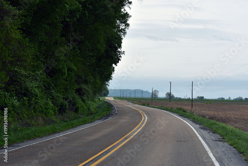 A road swerving through a forest.