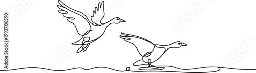 Continuous one line drawing of two geese taking off from the water. One goose is in flight with wings spread wide. one line Icon drawing