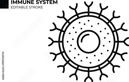 Immune system cellular vector illustration representing biological defense mechanisms and cellular structures