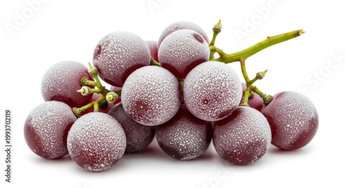 Frozen grapes on a stem.
