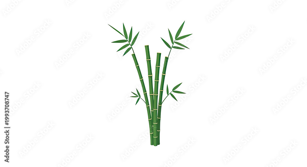 Naklejka premium Elegant bamboo stalks with lush green leaves on a white background