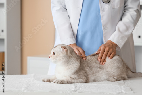 Female veterinarian examini...