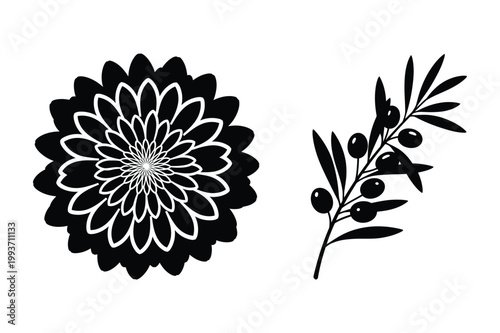 Stylized black vector illustration of a chrysanthemum flower and a olive branch