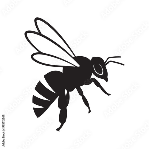 Honey Bee Silhouette Isolated on White Background